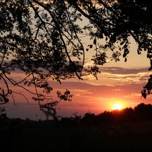 Gentle Lofi Beats for Peaceful Evenings - Lofi Music 2024