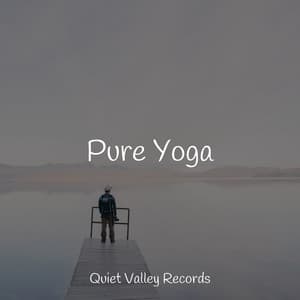 Pure Yoga - Asian Zen Spa Music Meditation