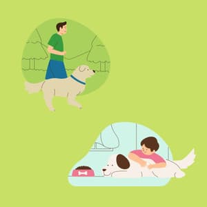 Echoes of Dogs Sitting Back and Relaxing - Calma Música para Perros