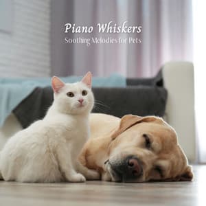 Piano Whiskers: Soothing Melodies for Pets - Cocktail Piano Bar Jazz