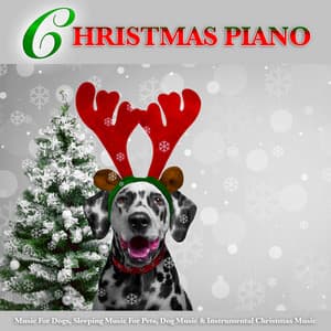 Christmas Piano Music For Dogs, Sleeping Music For Pets, Dog Music & Instrumental Christmas Music - Dog Music