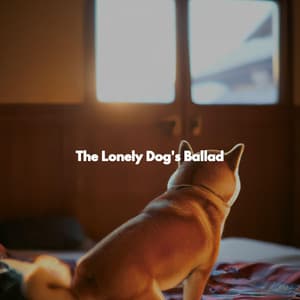 The Lonely Dog's Ballad - Rilassante Jazz Musica Ambiente