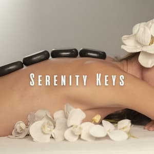 Serenity Keys: Meditative Piano for Spa Sessions - Piano Mood