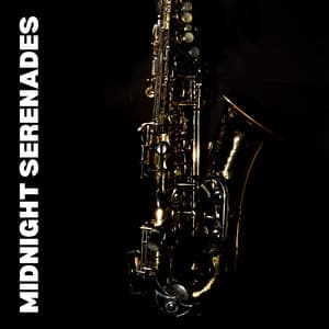 Midnight Serenades - Study Jazz