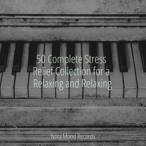 50 Complete Stress Relief Collection for a Relaxing and Relaxing - Ivory Mood