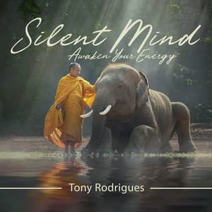 Silent Mind: Awaken Your Energy, Fresh Feeling, Hypnosis Meditation - Ancient Asian Oasis