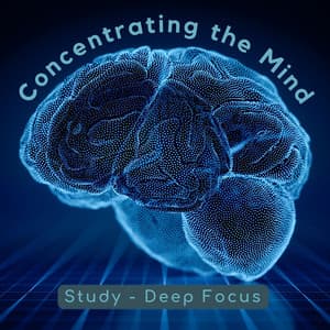 Concentrating the Mind - Study – Deep Focus
