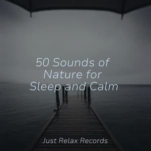 50 Sounds of Nature for Sleep and Calm - Sleepy Night Music