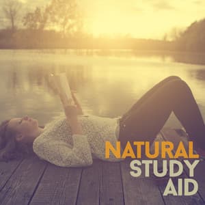 Natural Study Aid - Exam Study Nature Music Nature Sounds