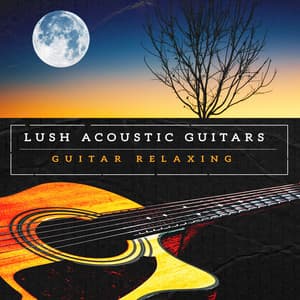 Lush Acoustic Guitars - Guitar Relaxing