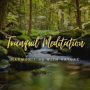 Stream's Tranquil Meditation: Harmonizing with Nature - Snow and Creeks