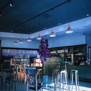 Music for Family Meals - Bossanova - Jazz Relajante