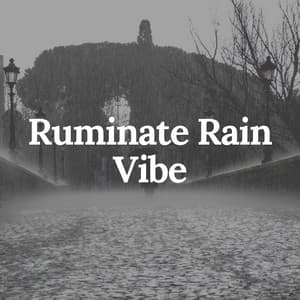 Ruminate Rain Vibe - Day & Night Rain