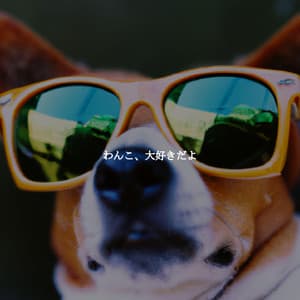 わんこ、大好きだよ - Sleep Jazz