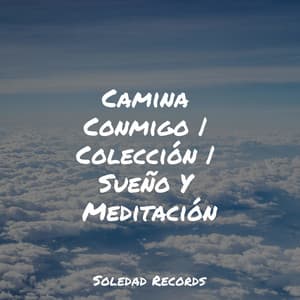 Camina Conmigo | Colección | Sueño Y Meditación - Massagem Música
