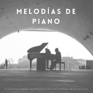 Ritmos Para Perros: Melodías De Piano De Jazz Para Amigos Peludos - Jazz Relajante Clasico