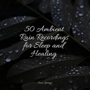 50 Ambient Rain Recordings for Sleep and Healing - The Sleep Specialist