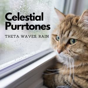 Celestial Purrtones: Theta Waves, Rain - Alpha Wave
