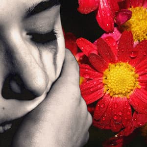 Follow Your Heart - Tim Juckes