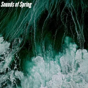 Sounds of Spring - Afternoon Jazz Playlist