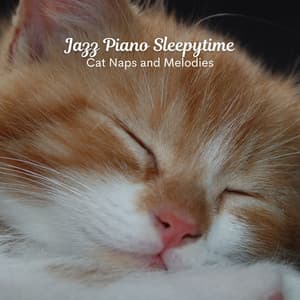 Jazz Piano Sleepytime: Cat Naps and Melodies - Best Jazz Lounge Bar