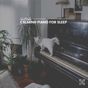 Calming Piano for Sleep - Calm Piano