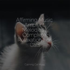 Affirming Music Ambient Melodies | Complete Relaxation For Cats - Music for Cats Project