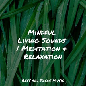 Mindful Living Sounds | Meditation & Relaxation - White Noise For Baby Sleep