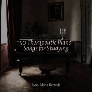 50 Therapeutic Piano Songs for Studying - Ivory Mood