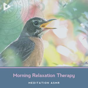 Morning Relaxation Therapy - Meditation ASMR