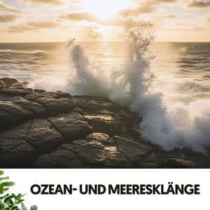 Ozean- und Meeresklänge: Kraft der Wellen - Dog Relaxation