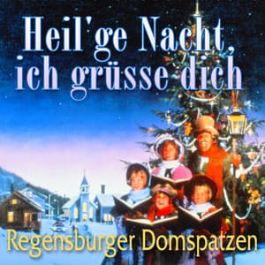 Heil'ge Nacht, ich grüsse dich - Regensburger Domspatzen