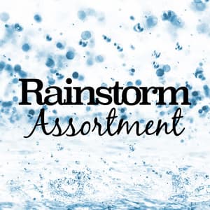 Rainstorm Assortment - A Sudden Rainstorm