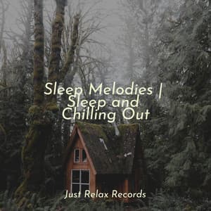 Sleep Melodies | Sleep and Chilling Out - Musica para Meditar