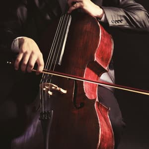 Quiet Relaxation: Orchestra Sounds - Charles Anderson