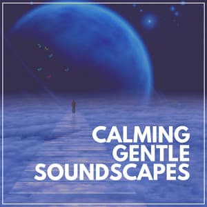 Calming Gentle Soundscapes - Background Music Specialists