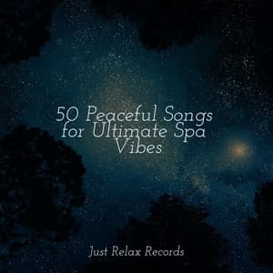 50 Peaceful Songs for Ultimate Spa Vibes - Deep Sleep Meditation