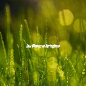 Jazz Blooms in Springtime - Smooth Jazz All Stars
