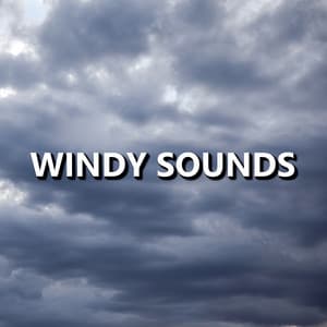 Windy Sounds - Wind Sounds