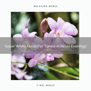 Super White Noise For Tuned-in Relax Evenings - White Noise Hour