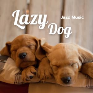 Lazy Dog Jazz Music - Dogs Jazz