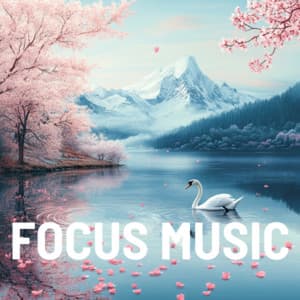 Sunny Day Study Beats with Chill out - Focus Music