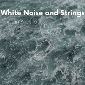 White Noise and Strings - White Noise Playlist