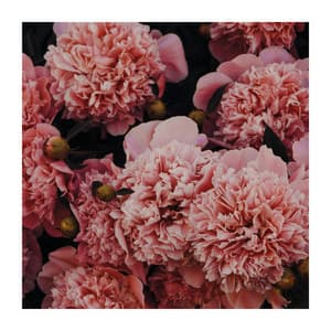 Atumn Is Coming - Pilates Dance Music Universe