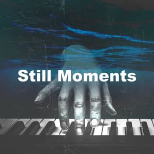 Still Moments - Best Love Songs