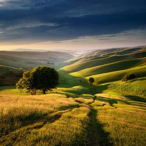 Ritmos Tranquilos: Música Relajante Para Aliviar El Estrés - Vibraciones del universo tranquilo