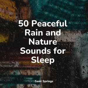 50 Winter Rain Drop Sounds - Nature Soundscape