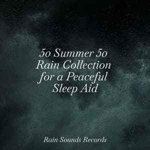 50 Summer 50 Rain Collection for a Peaceful Sleep Aid - Calming Sounds