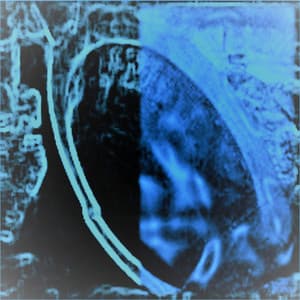 Desolation of the Bells - Zarqnon the Embarrassed