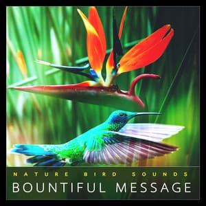 Bountiful Message - Nature Bird Sounds